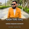 About Kash Tere Ishq Song